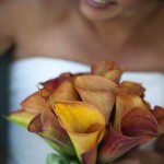 Tuscan Wedding