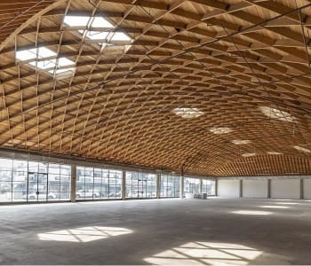 H.D.-BUTTERCUP-LOFT-1.jpg