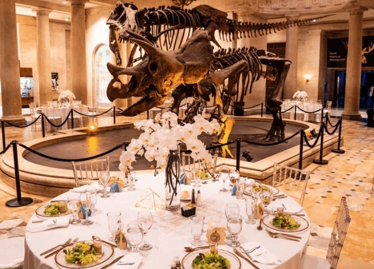 NHM-Dinos-1.png