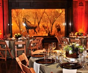 African Mamal Hall Dining