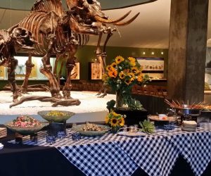 Tar-B-Q at La Brea Tar Pits-1