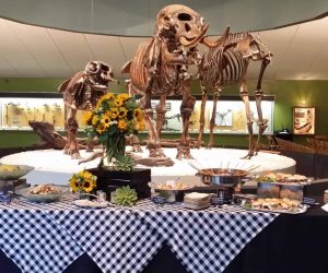 Tar-B-Q at La Brea Tar Pits-3